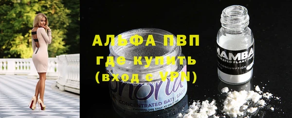 PSILOCYBIN Беломорск